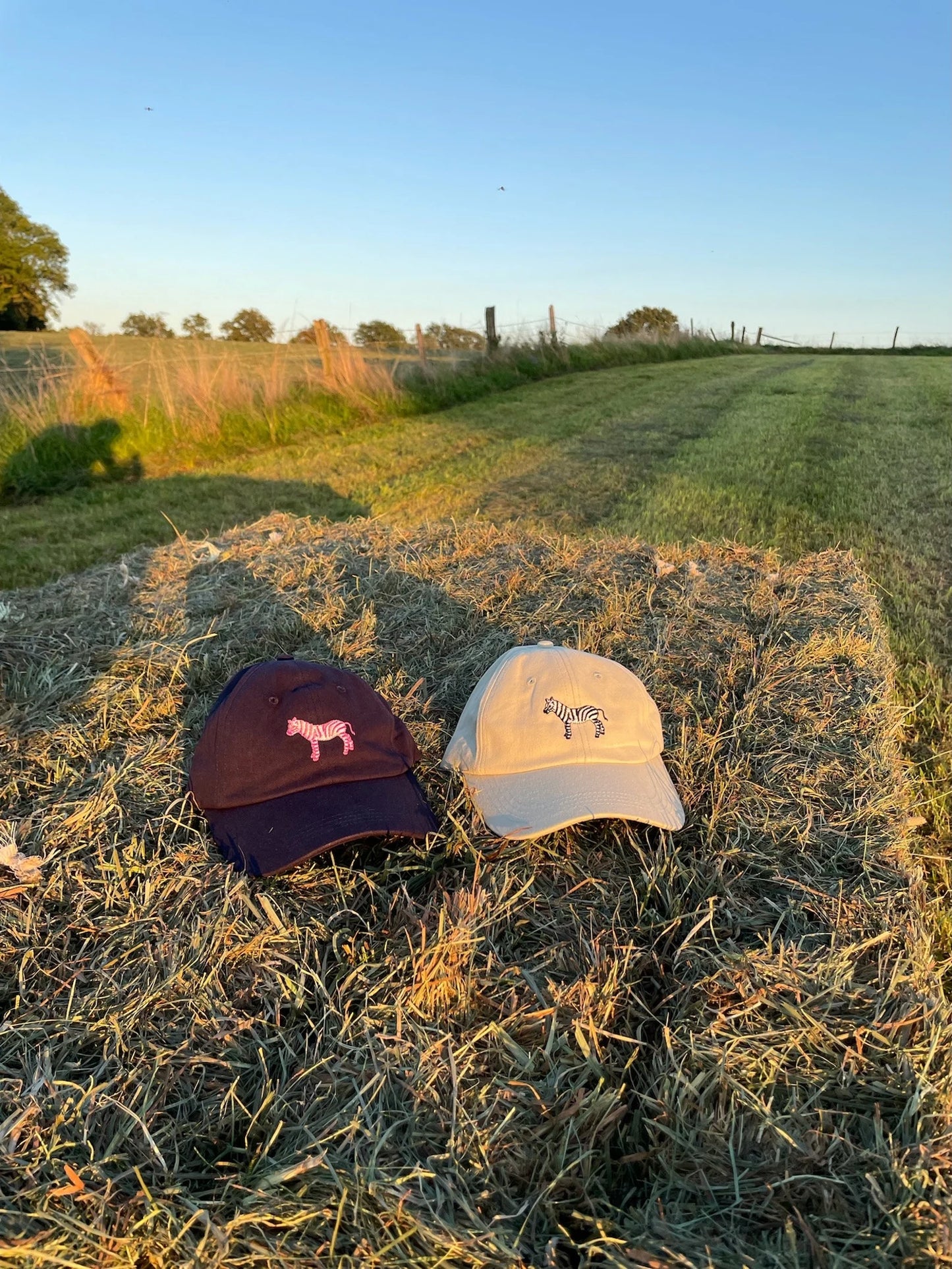 Zebra Cap | Pink auf Blau