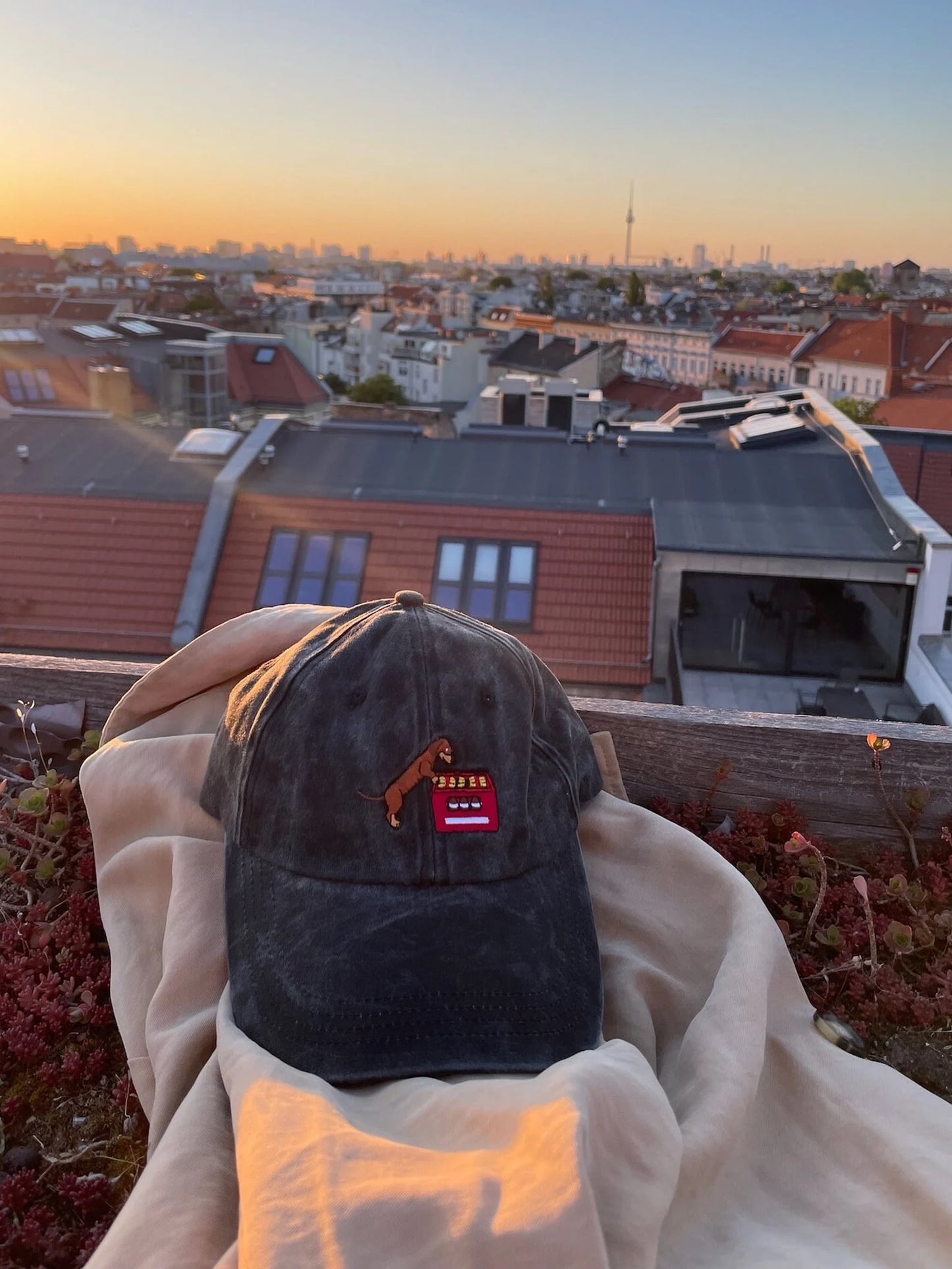 Dackel mit Bierkasten Cap | Schwarz