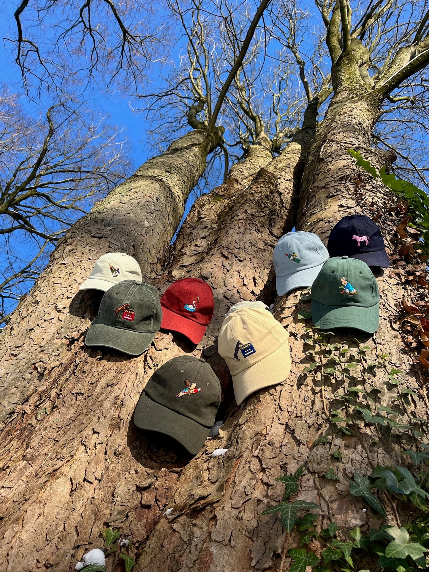 Fasan Cap | Dunkel Grün