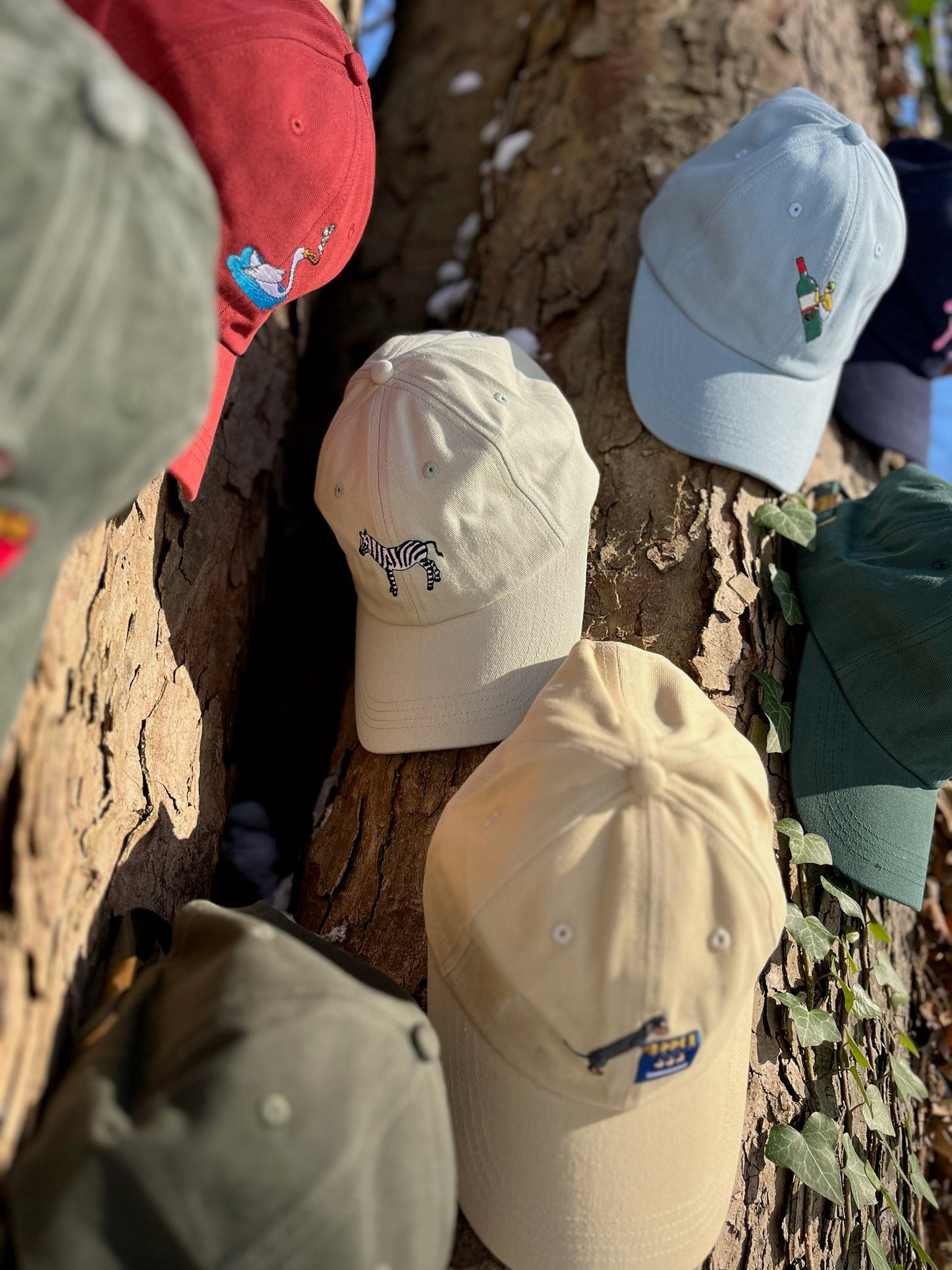 Zebra Cap | Salbei Grün
