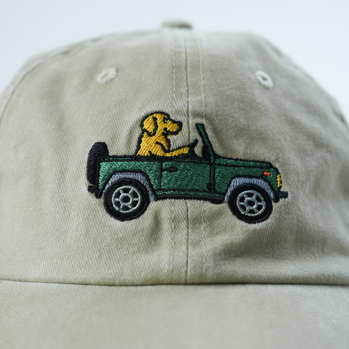 Hund in Jeep Cap I beige grün washed